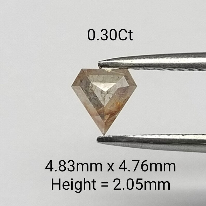 0.30 ct Shield Salt and Pepper Natural Diamond, I3